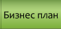 Business plan