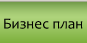 Business plan