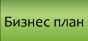 Business plan